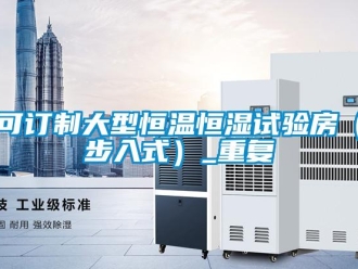 知识百科可订制大型恒温恒湿试验房（步入式）_重复