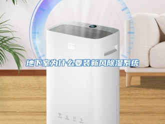 常见问题地下室为什么要装新风除湿系统