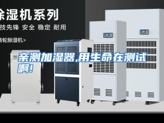 企业动态亲测加湿器,用生命在测试啊!