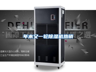 行业资讯年末又一轮除湿机热销