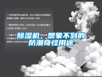 知识百科除湿机，想象不到的防潮奇怪用途