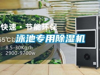 行业资讯泳池专用除湿机