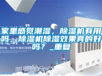 行业资讯家里感觉潮湿，除湿机有用吗，除湿机除湿效果真的好吗？_重复