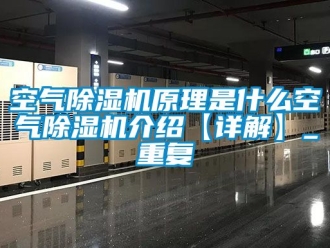 行业资讯空气除湿机原理是什么空气除湿机介绍【详解】_重复