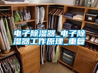 行业资讯电子除湿器_电子除湿器工作原理_重复
