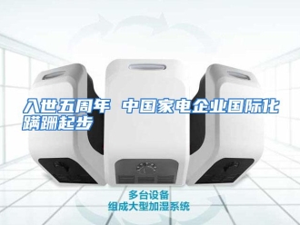 企业动态入世五周年 中国家电企业国际化蹒跚起步