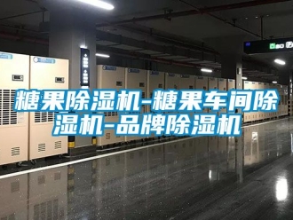企业动态糖果除湿机-糖果车间除湿机-品牌除湿机
