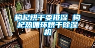 枸杞烘干要排湿 枸杞热循环烘干除湿机