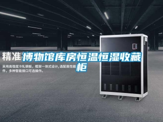 知识百科博物馆库房恒温恒湿收藏柜