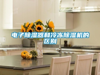 行业资讯电子除湿器和冷冻除湿机的区别