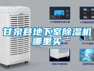 行业资讯甘泉县地下室除湿机哪里买