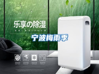 行业资讯宁波梅雨季