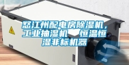 怒江州配电房除湿机，工业抽湿机  恒温恒湿非标机器