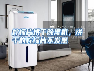 行业资讯柠檬片烘干除湿机，烘干的柠檬片不发黑