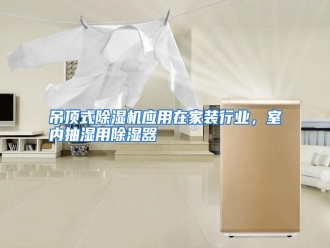 行业资讯吊顶式除湿机应用在家装行业，室内抽湿用除湿器