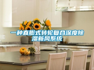 行业资讯一种直膨式转轮复合深度除湿新风系统