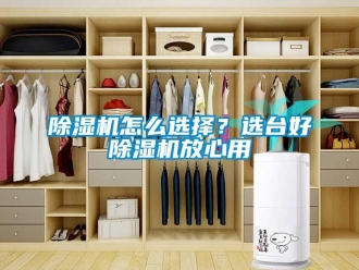 常见问题除湿机怎么选择？选台好除湿机放心用
