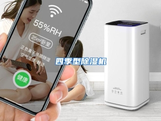 企业动态四季型除湿机