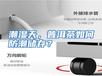 常见问题潮湿天，普洱茶如何防潮储存？
