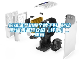 企业动态移动除湿机哪个牌子好 移动除湿机品牌介绍【详解】_重复