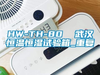 常见问题HW-TH-80  武汉恒温恒湿试验箱_重复