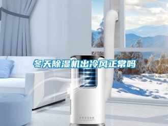 行业资讯冬天除湿机出冷风正常吗