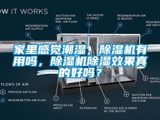 行业资讯家里感觉潮湿，除湿机有用吗，除湿机除湿效果真的好吗？