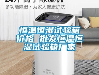 知识百科恒温恒湿试验箱价格 批发恒温恒湿试验箱厂家