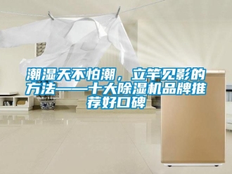 企业动态潮湿天不怕潮，立竿见影的方法——十大除湿机品牌推荐好口碑