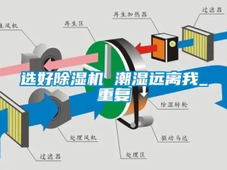 行业资讯选好除湿机 潮湿远离我_重复