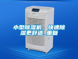 行业资讯小型除湿机，快速除湿更舒适_重复