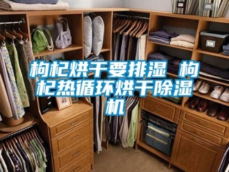 行业资讯枸杞烘干要排湿 枸杞热循环烘干除湿机