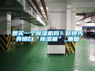 行业资讯想买一个除湿机吗？你得先弄明白“除湿量”_重复