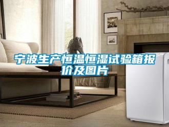 知识百科宁波生产恒温恒湿试验箱报价及图片