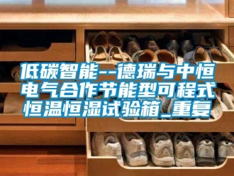 知识百科低碳智能--德瑞与中恒电气合作节能型可程式恒温恒湿试验箱_重复