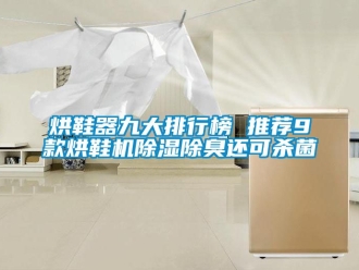 行业资讯烘鞋器九大排行榜 推荐9款烘鞋机除湿除臭还可杀菌