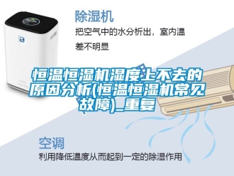 知识百科恒温恒湿机湿度上不去的原因分析(恒温恒湿机常见故障)_重复