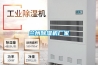 兰州除湿机厂家