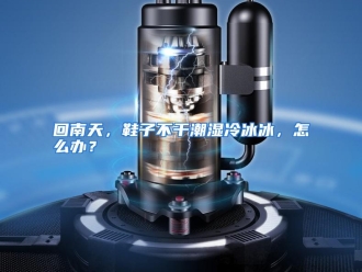 常见问题回南天，鞋子不干潮湿冷冰冰，怎么办？