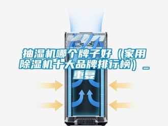 企业动态抽湿机哪个牌子好（家用除湿机十大品牌排行榜）_重复