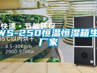 常见问题HWS-250恒温恒湿箱生产厂家