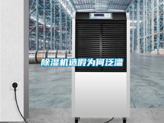 常见问题除湿机造假为何泛滥