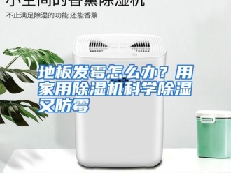 常见问题地板发霉怎么办？用家用除湿机科学除湿又防霉