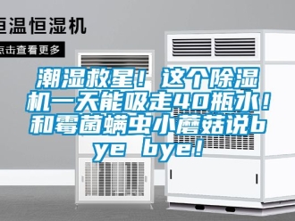 企业动态潮湿救星！这个除湿机一天能吸走40瓶水！和霉菌螨虫小蘑菇说bye bye！