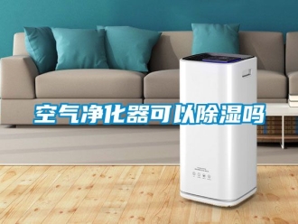 行业资讯空气净化器可以除湿吗
