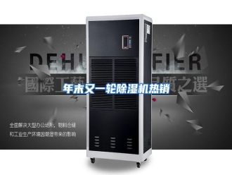 行业资讯年末又一轮除湿机热销