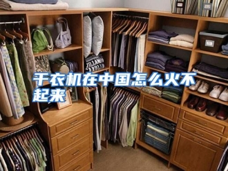 常见问题干衣机在中国怎么火不起来