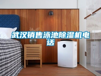 行业资讯武汉销售泳池除湿机电话