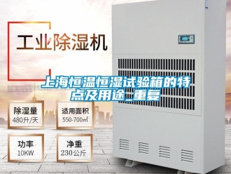 知识百科上海恒温恒湿试验箱的特点及用途_重复