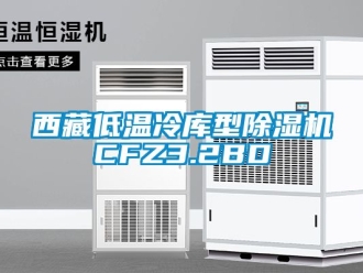行业资讯西藏低温冷库型除湿机CFZ3.2BD